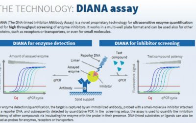Paul Morrill visited Prague to start collaboration with Diana Technology