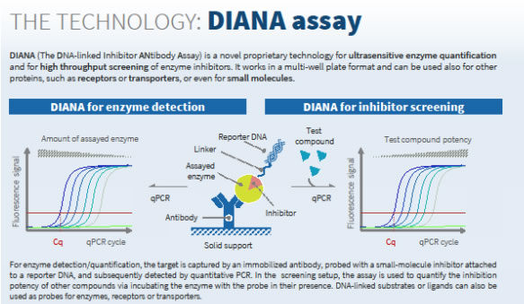 Paul Morrill visited Prague to start collaboration with Diana Technology